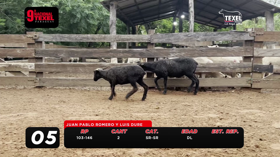 Lote LOTE 5- POR PANTALLA