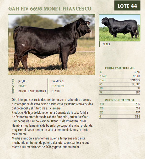 Lote LOTE 44- SALE A VENTA EL 50%