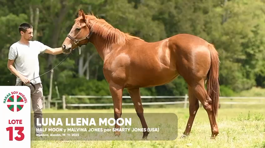 Lote LUNA LLENA MOON