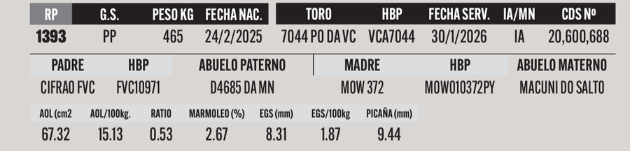 Lote LOTE 17