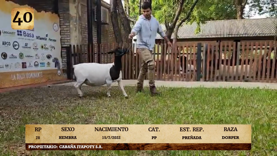 Lote LOTE 40