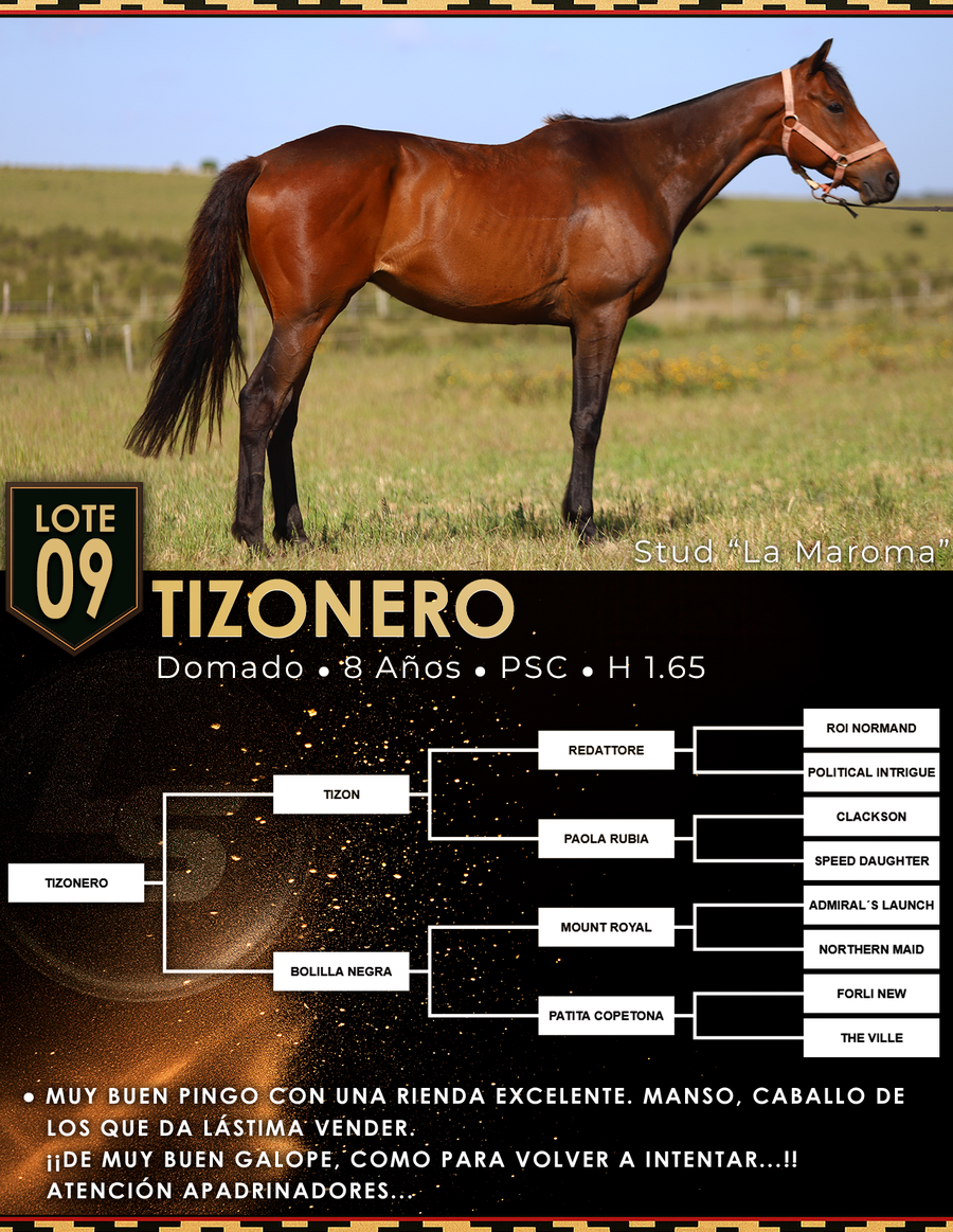 Lote TIZONERO