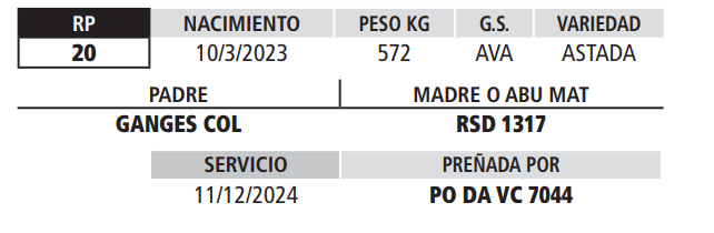 Lote LOTE 9