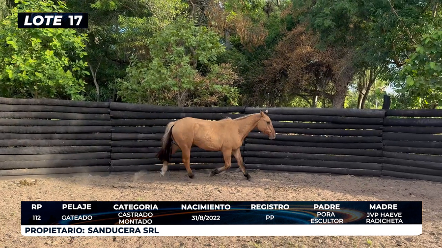 Lote LOTE 17
