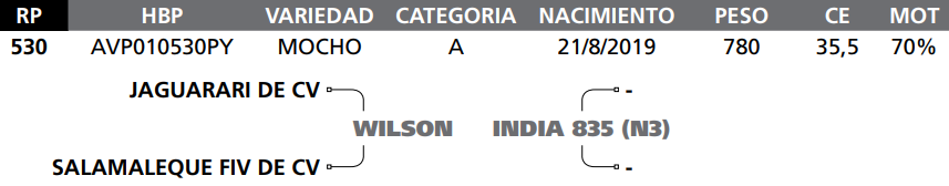 Lote LOTE 78   RP 530