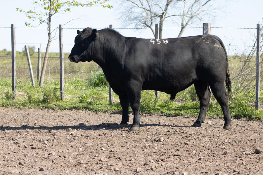 Lote 33