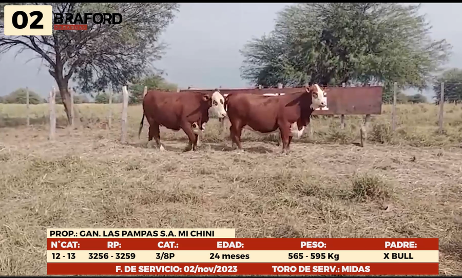 Imagen 1 del Lote Lote LOTE 2