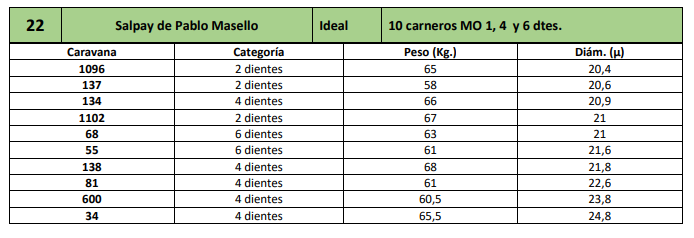 Lote 10 carneros MO 1, 4 y 6 dtes.