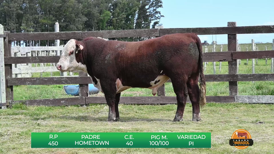 Lote MIRASOL HOMETOWN CUATRO