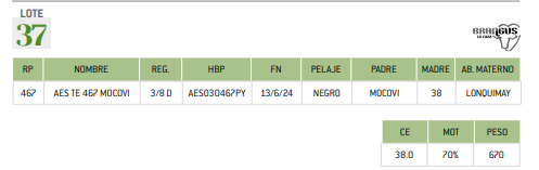 Lote LOTE 37