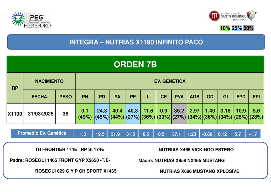 Lote ORDEN  7 VAQUILLONAS PP