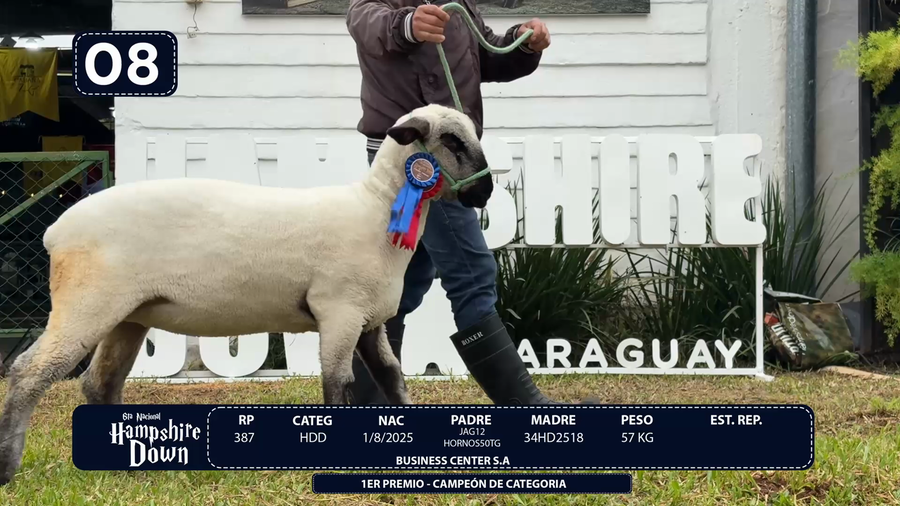 Lote LOTE 8