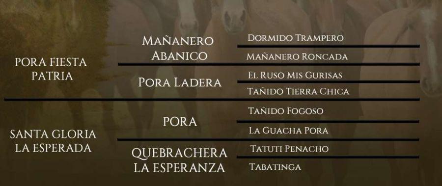 Lote Santa Gloria Garantido