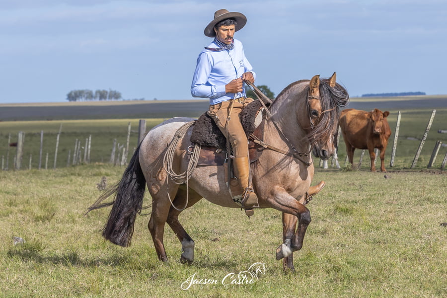 Lote Rutina De Los Recuerdos