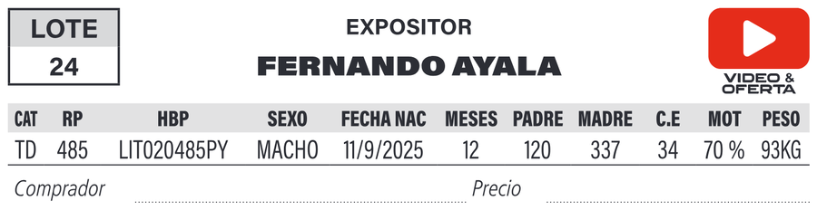 Lote LOTE 24