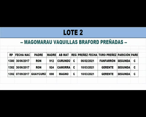 Lote Vaquillas Preñadas