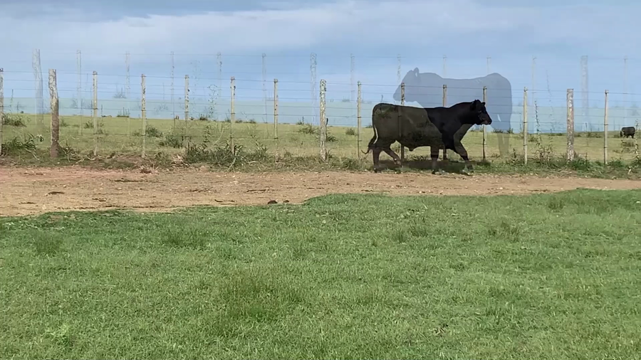 Lote "El Gualicho", RP 6584