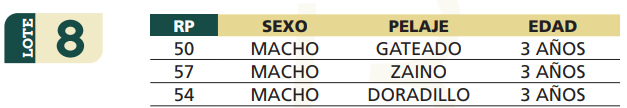 Lote LOTE 8