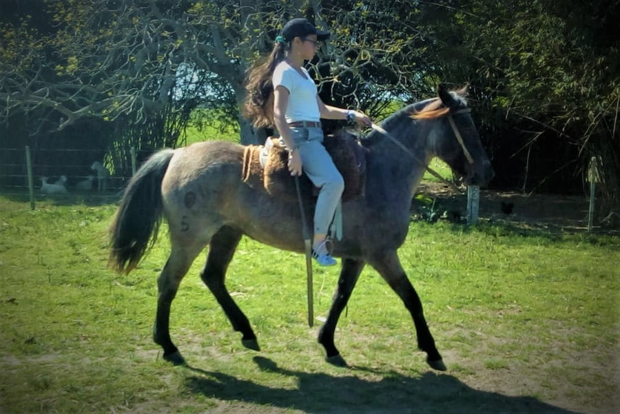 Lote Cabaña "La Picada" - RP 5 - Rebolera