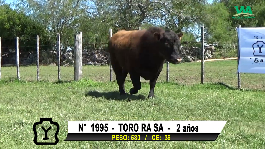 Lote TORO Nº 1995