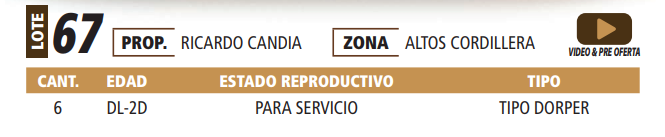 Lote LOTE 67 -POR PANTALLA