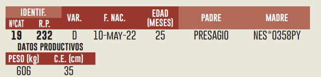 Imagen 2 del Lote Lote LOTE 17