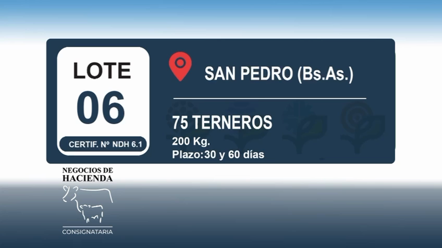 Lote 75 Terneros en Buenos Aires, San Pedro