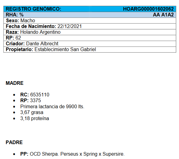Lote Toros - Establecimiento Dante Albrecht