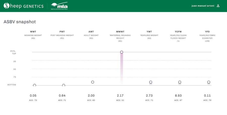 Lote Carnero TOP A, 19-0857