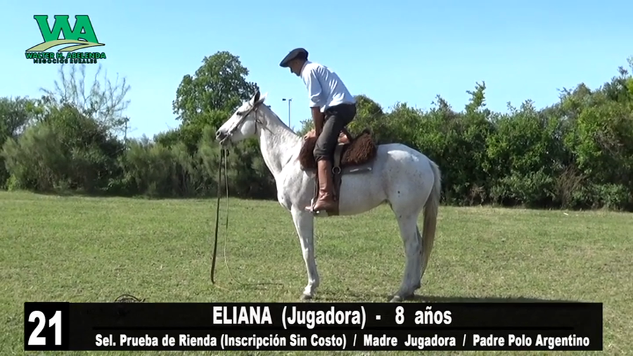 Lote ELIANA