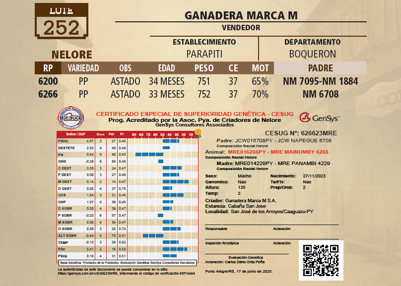 Lote LOTE 252 - VIVO
