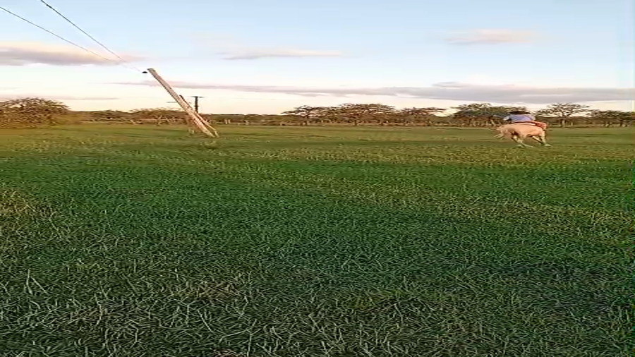 Lote 1 Montados en Corrientes, Curuzu Cuatia