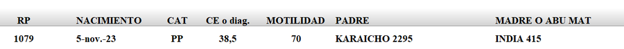 Lote LOTE 40