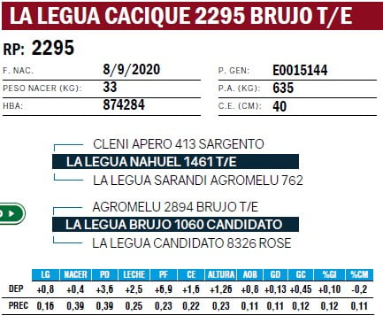 Lote TOROS ANGUS PURO DE PEDIGREE