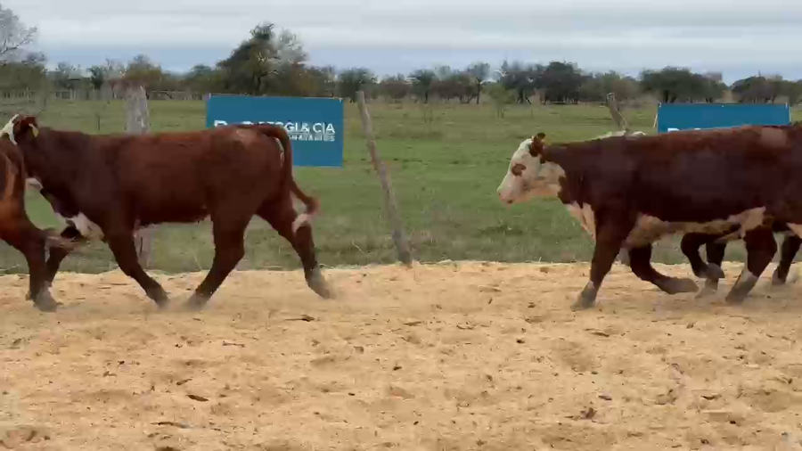 Lote Cabaña Olazul SA