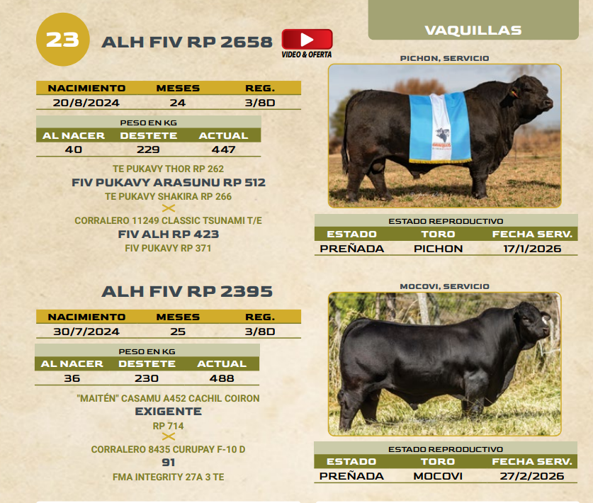 Lote LOTE 23