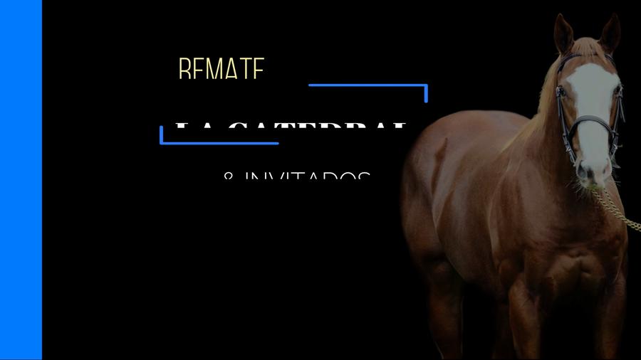 Lote CURIOSO FALON (CURIOSO JOHAN - RAQUEL FORNER)