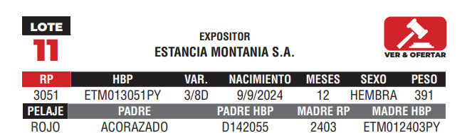 Lote LOTE 11 - JUNIOR