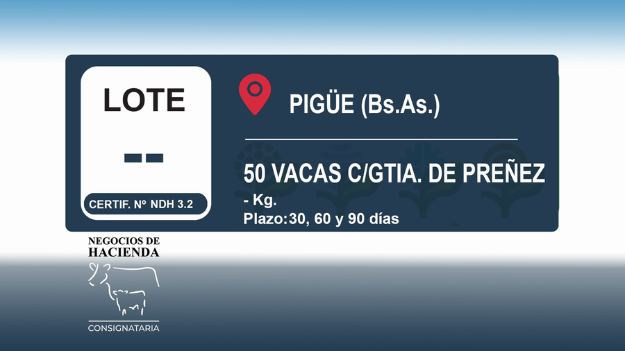Lote 50 Vacas nuevas C/ gtia de preñez en Buenos Aires, Pigüé
