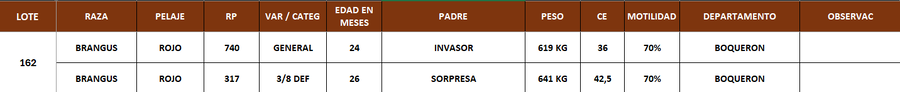 Lote LOTE 162