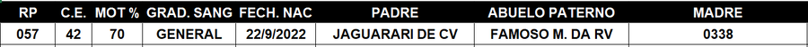 Lote LOTE 3
