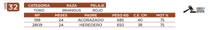 Lote LOTE 32