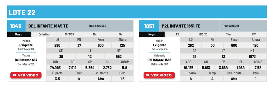 Lote Lote 22