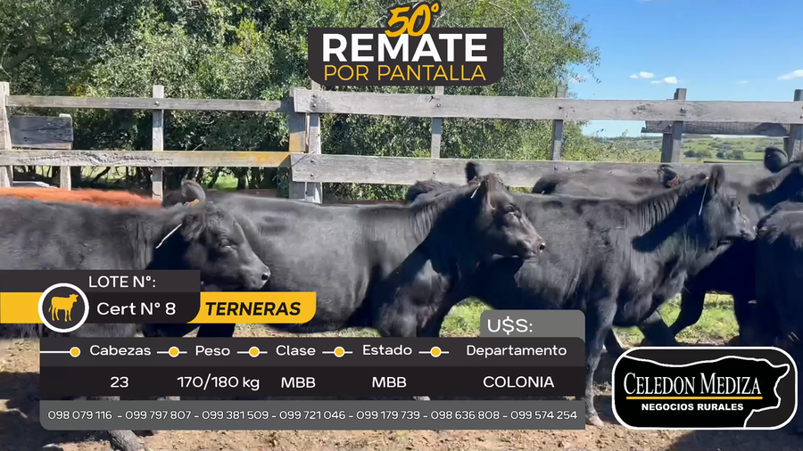 Lote 23 Terneras en Otra Localidad, Colonia