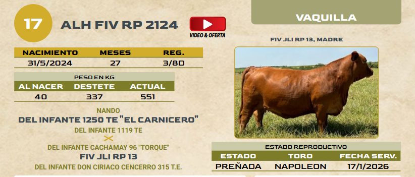Lote LOTE 17