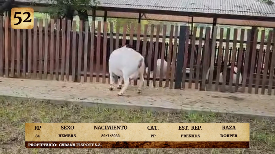 Lote LOTE 52