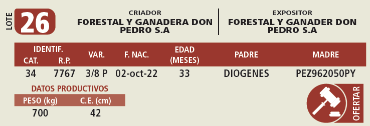 Lote LOTE 26