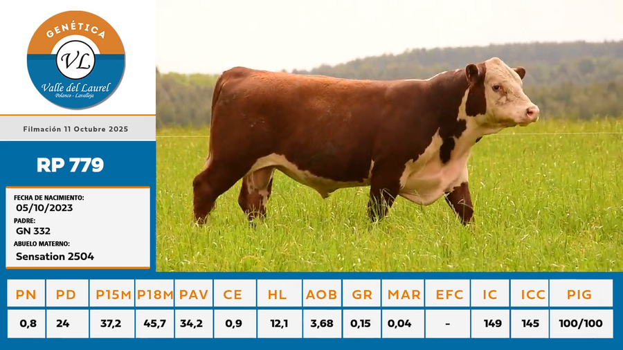 Lote RP 779  - Valle del Laurel