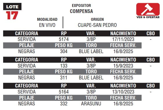 Lote LOTE 17- EN VIVO