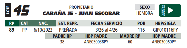 Lote LOTE 45